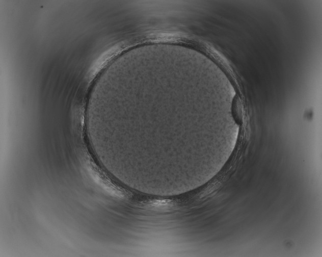 X0000114580059200911301344