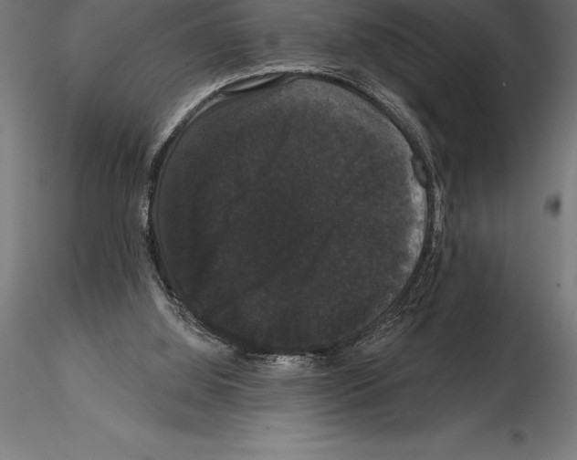 X0000114580060200911301344