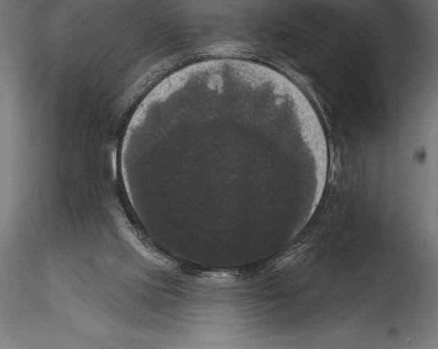 X0000114580061200911301344