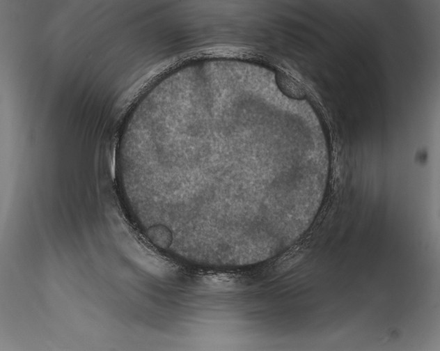 X0000114580062200911301344