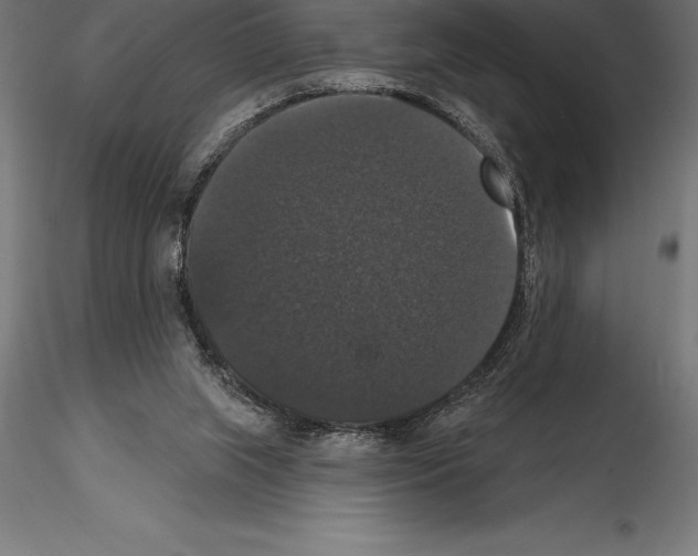 X0000114580063200911301344