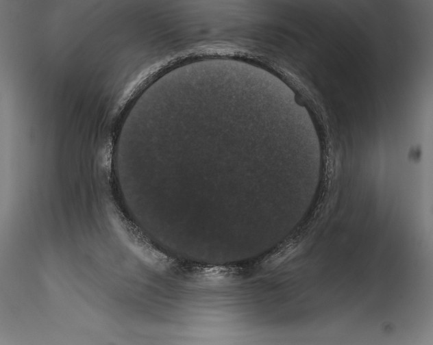 X0000114580064200911301344