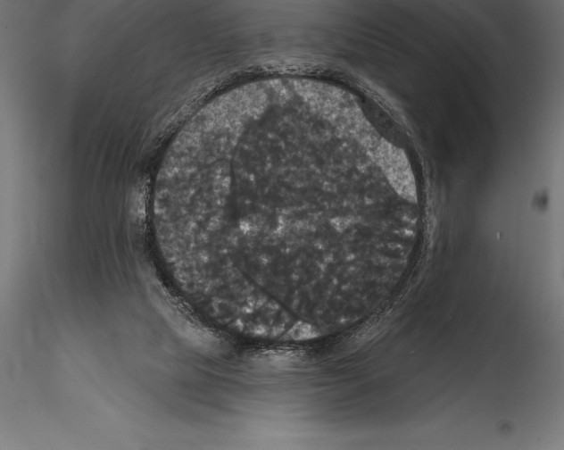 X0000114580065200911301344