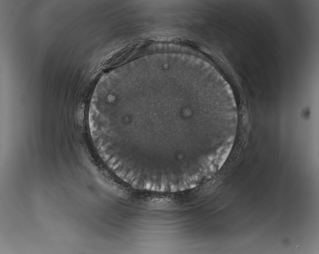 X0000114580066200911301344