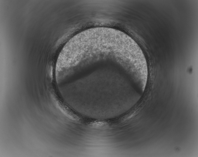 X0000114580067200911301344