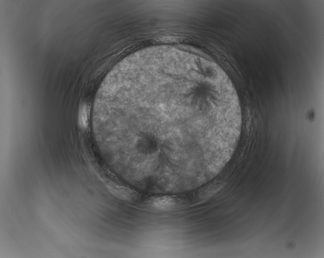 X0000114580075200911301345