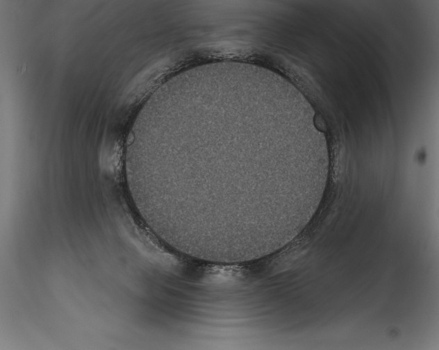 X0000114580077200911301345