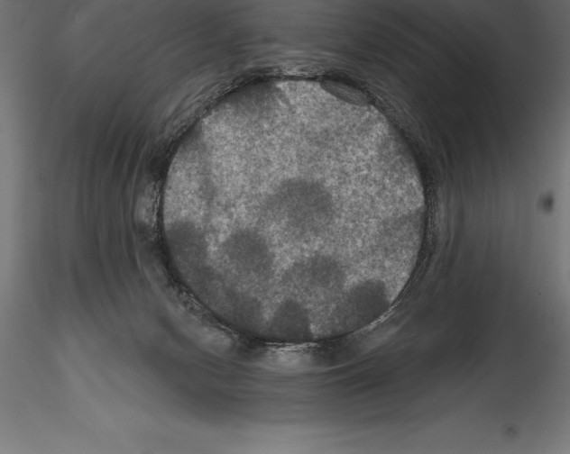 X0000114580078200911301345