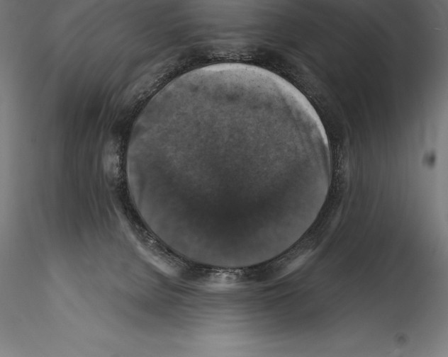 X0000114580080200911301345