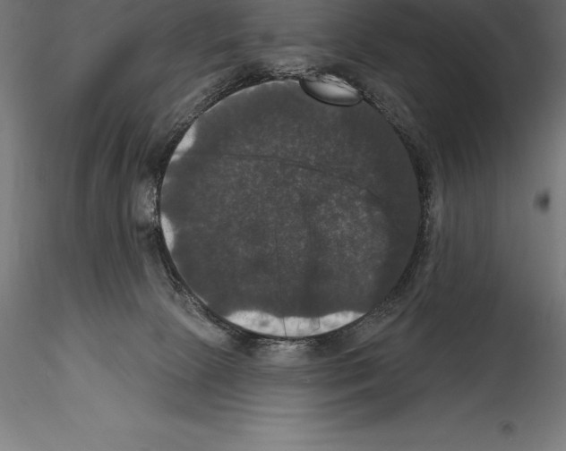 X0000114580081200911301345