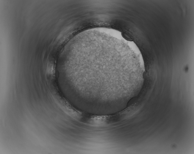 X0000114580084200911301345