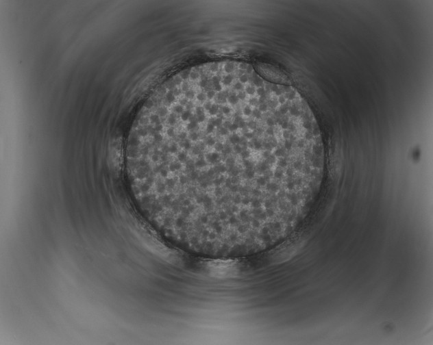 X0000114580085200911301345