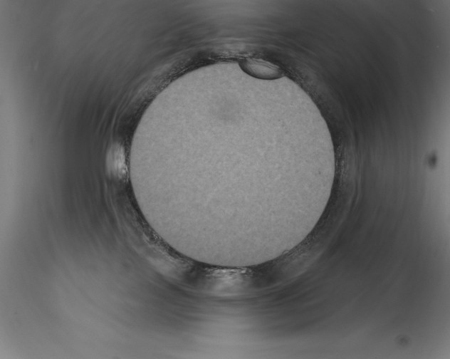 X0000114580089200911301345