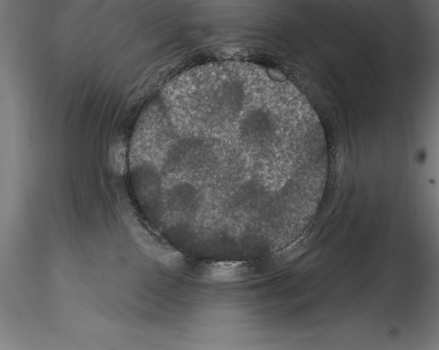 X0000114580090200911301345