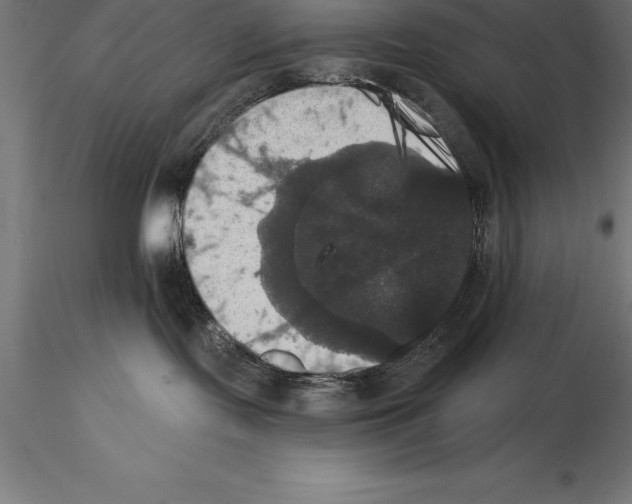 X0000114580095200911301345