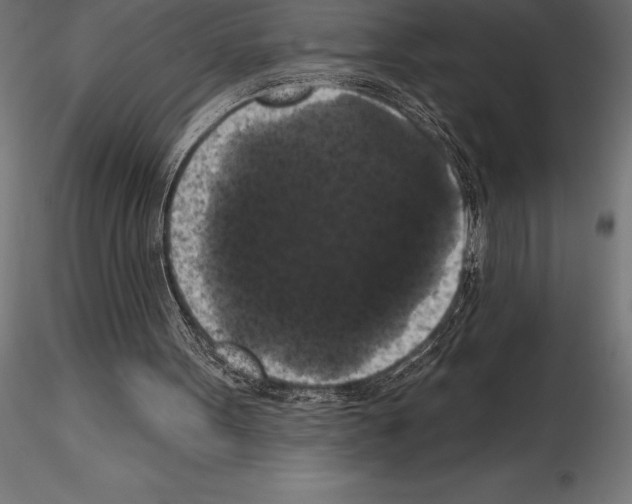 X0000114580099200911301344