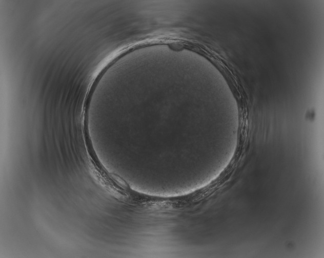 X0000114580100200911301344