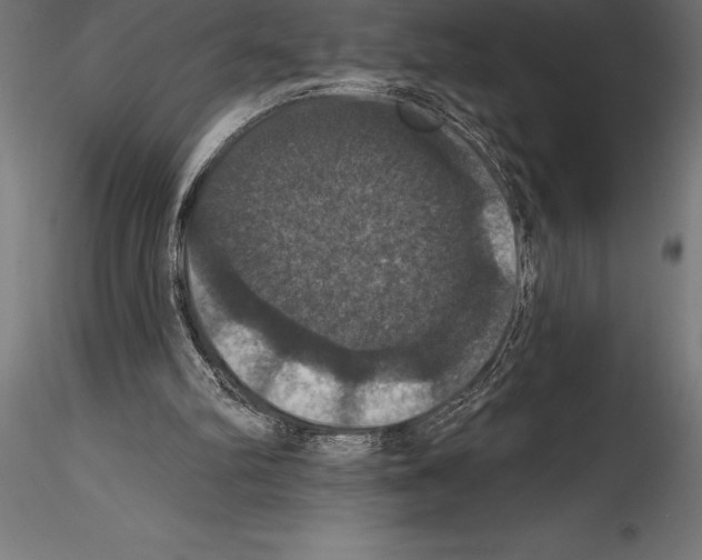 X0000114580102200911301344