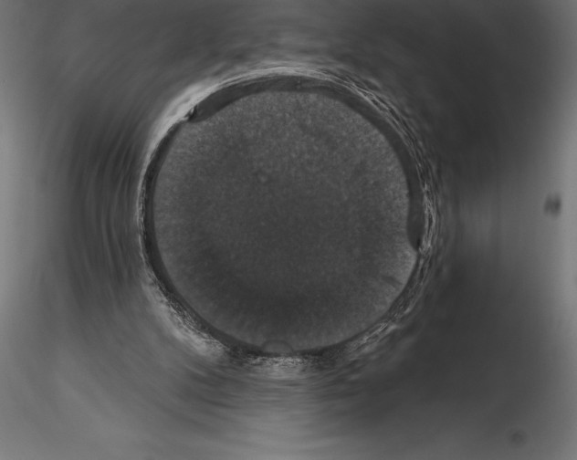 X0000114580104200911301344