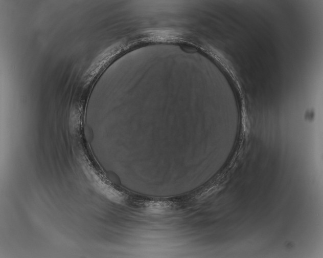 X0000114580105200911301344