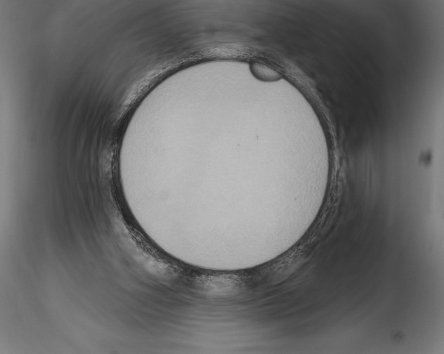 X0000114580106200911301344