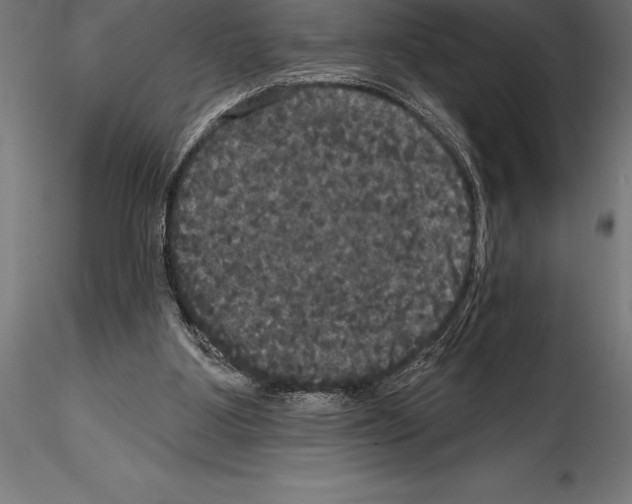 X0000114580107200911301344