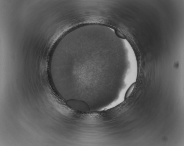 X0000114580108200911301344