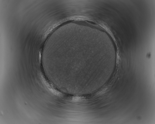 X0000114580109200911301344