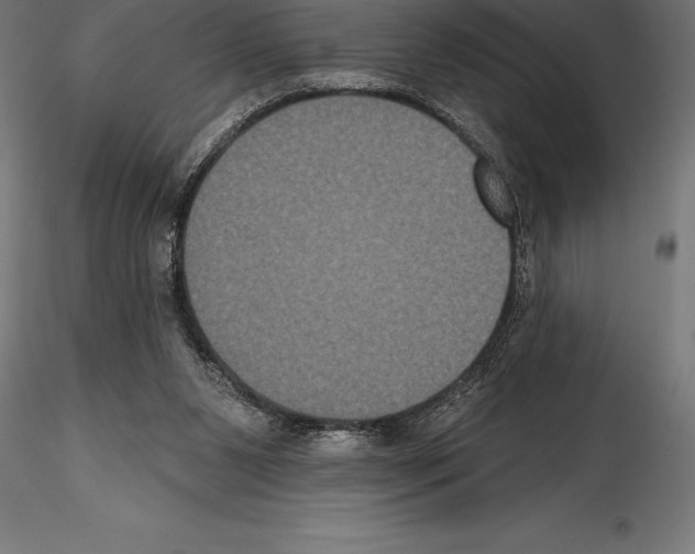 X0000114580111200911301344