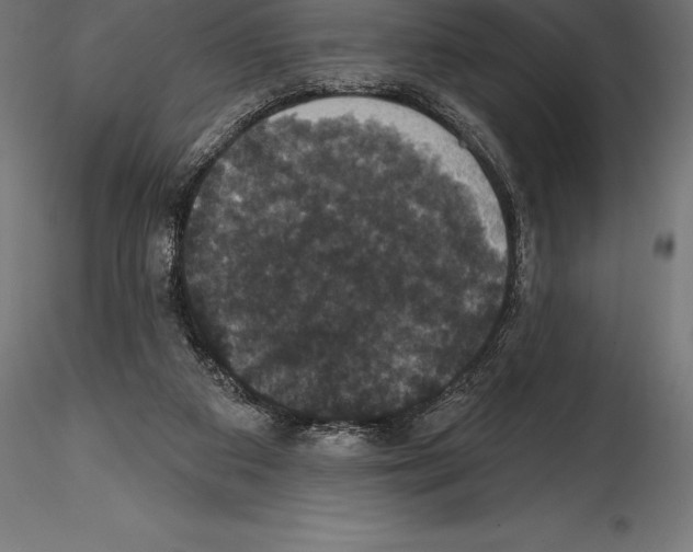 X0000114580113200911301344