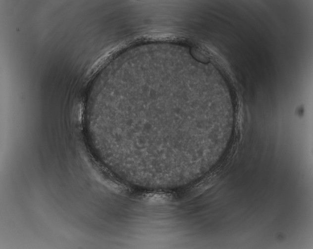 X0000114580115200911301344