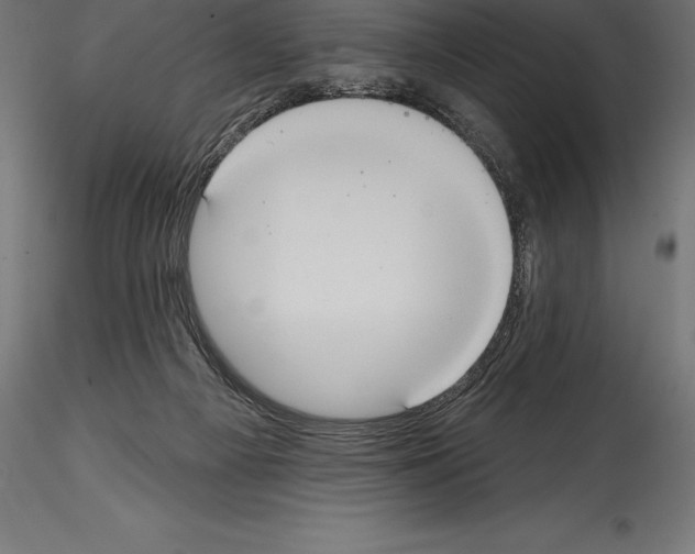 X0000114580121200911301344