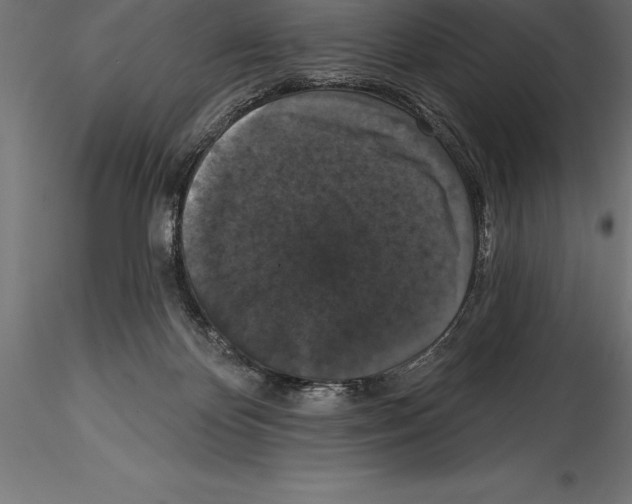 X0000114580124200911301344