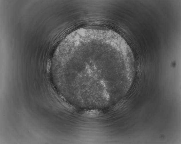 X0000114580125200911301344