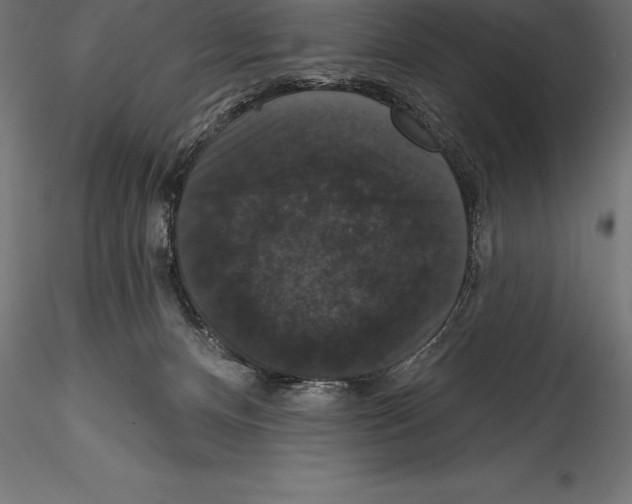 X0000114580128200911301344