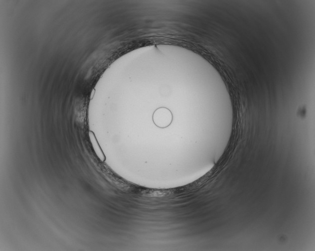 X0000114580129200911301344