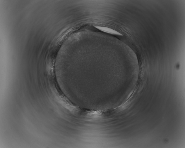 X0000114580140200911301344