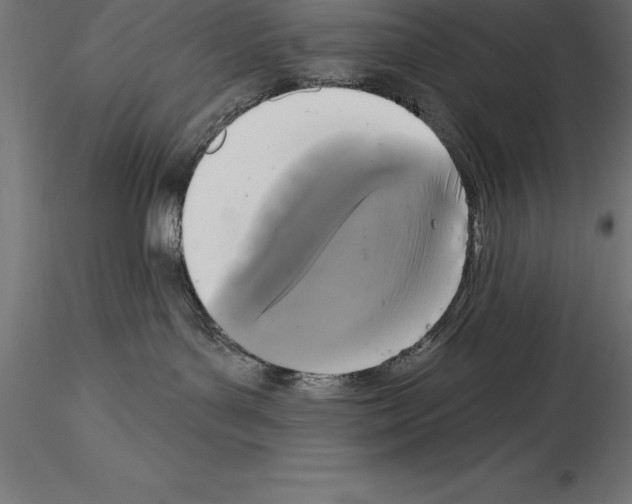 X0000114580143200911301344