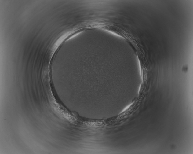 X0000114580147200911301343