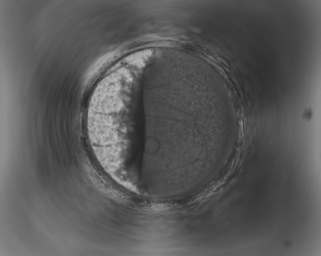 X0000114580149200911301343