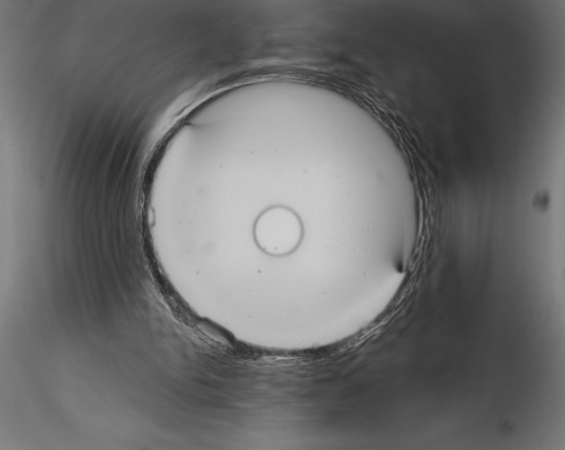 X0000114580150200911301343