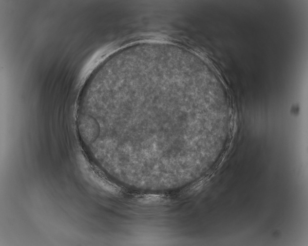 X0000114580151200911301343