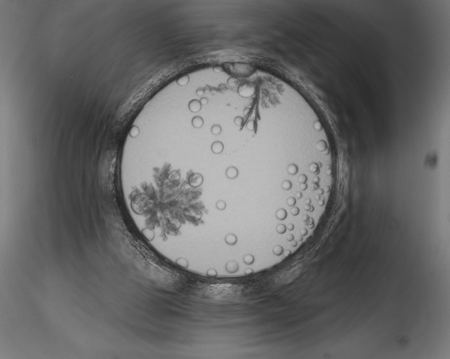 X0000114580153200911301343