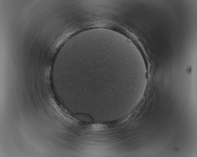 X0000114580154200911301343