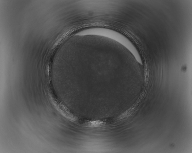 X0000114580158200911301343