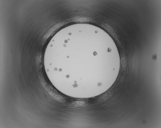 X0000114580159200911301343