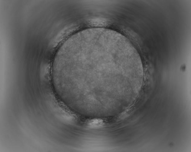 X0000114580162200911301343