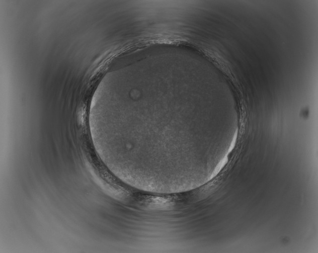 X0000114580166200911301343