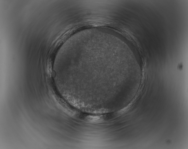 X0000114580170200911301343