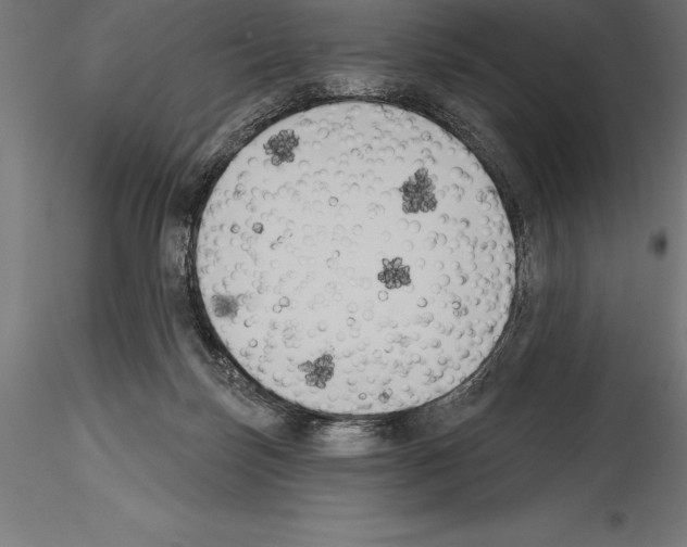 X0000114580171200911301343